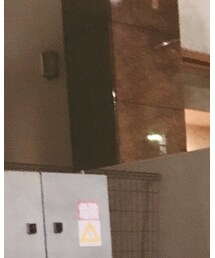 FRUIT OF THE LOOM | パーカー