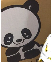 パンダʕ•ᴥ•ʔ | その他