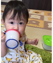 引越し前のカオス | その他