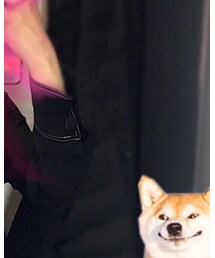 ZARA | アンダーウェア