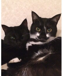 わんわん😂 | その他