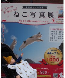 目的はこれ🐱 | その他