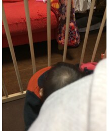 アンコ、いないな〜（頭隠す） | その他