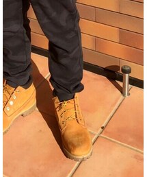 Timberland | スニーカー