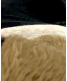 THE NORTH FACE | ジャケット/アウター