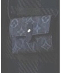 LOUIS VUITTON | 財布