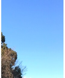 大自然 | その他