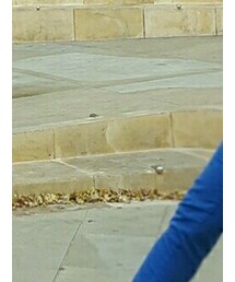 CONVERSE | トップス