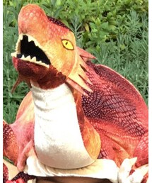 USJハリーポッター | 帽子