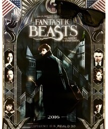FANTASTIC BEASTS | 特典ポスターと3Dメガネ(*▼-▼*)(その他)