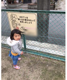 わんわん！ | その他