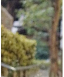 タイムセール開催中⏰💕 | トップス