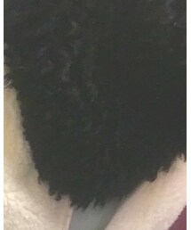 E hyphen world gallery | マフラー