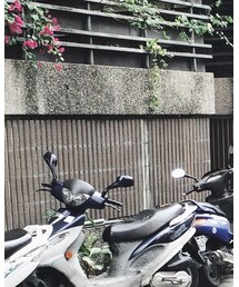 Champion | Tシャツ/カットソー