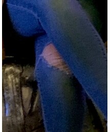 charlotte russe | デニムパンツ