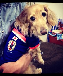 日本代表ユニフォーム(ペットウェア)