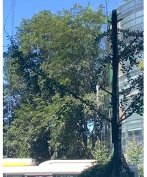 LLJF | ニット/セーター