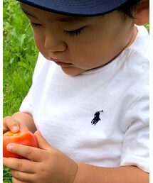 RALPH LAUREN | Tシャツ/カットソー