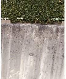 NEW YORK HAT | キャスケット