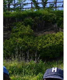 BREEZE | キャップ