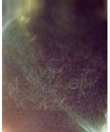 Calvin Klein | トップス