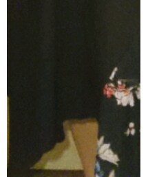 antiqua | スカート