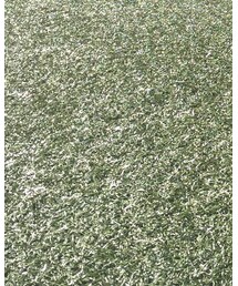 ASICS | スニーカー