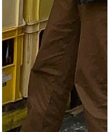 UNIQLO | チノパンツ