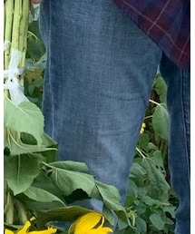 NET | デニムパンツ