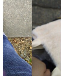 フェリシモ | デニムパンツ