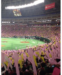 一面ピンクのヤフオクドーム | その他