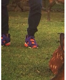 Reebok | スニーカー