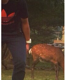 G-SHOCK | アナログ腕時計