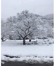 ☃️まさかまだ降るとは☃️ | その他