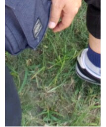 吉田カバン | ショルダーバッグ