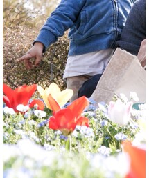 UNIQLO | レギンス/スパッツ