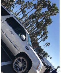 My family car | その他