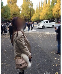 紅葉 | その他