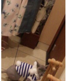 えるちゃん🐈 | その他