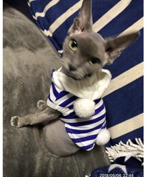 えるちゃん❤️お洋服 | その他