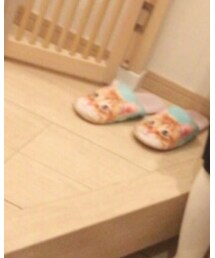 アビちゃんスリッパ🐾 | その他