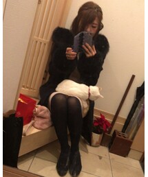ポインセチア狙うねこ🎄 | その他