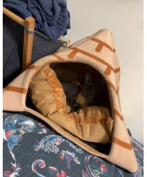ピラミッドの中に？🔺 | その他