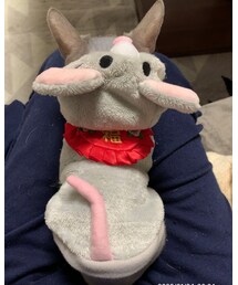 ネズミのような猫がネズミになりました🐭 | その他