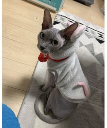 あけましておめでと😻 | その他