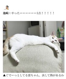 空前絶後の人の雷ちゃん🐈 | その他