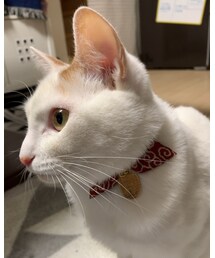 似合いすぎー😻 | その他