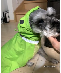 梅雨の準備OK🥒 | その他