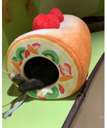 ねこロール🧁 | その他
