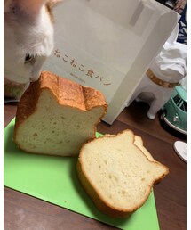 ねこねこ😻🍞 | その他